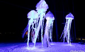 ​Фестиваль светового искусства «Не темно» пройдет на четырех площадках