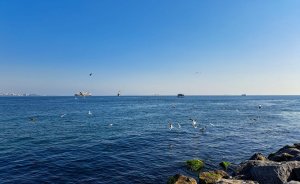 ​Уральский режиссер Иван Соснин снимает романтическую комедию в Турции