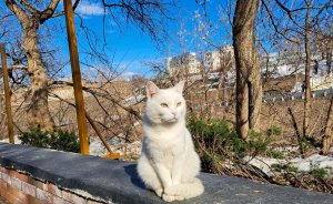 ​В Екатеринбурге потеплеет до +18 градусов