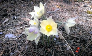 ​Аномально теплая погода установилась в Екатеринбурге