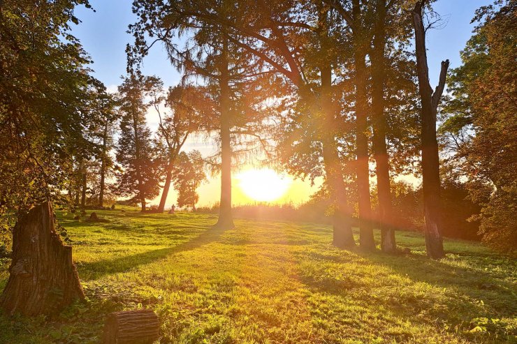 ​В Свердловской области с середины апреля вводят противопожарный режим