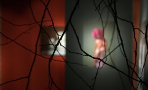 ​В Екатеринбурге открывается женская выставка арт-фотографий