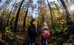 Организаторы «Майской прогулки» открыли регистрацию на акцию в 2026 году