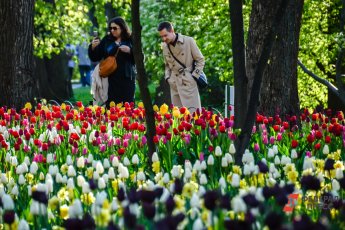 ​В Екатеринбурге потеплеет до +20 градусов