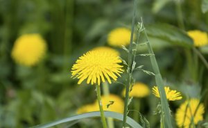 Синоптики рассказали, когда в Екатеринбург придет теплая весенняя погода
