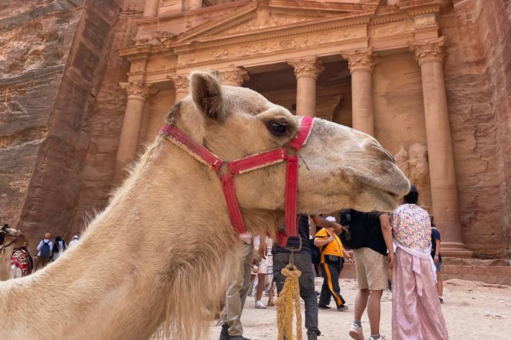 В Екатеринбурге планируют проводить совместные с Иорданией фестивали и выставки