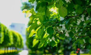 ​Теперь официально – в Екатеринбурге появился «Летний парк «Уралмаш»