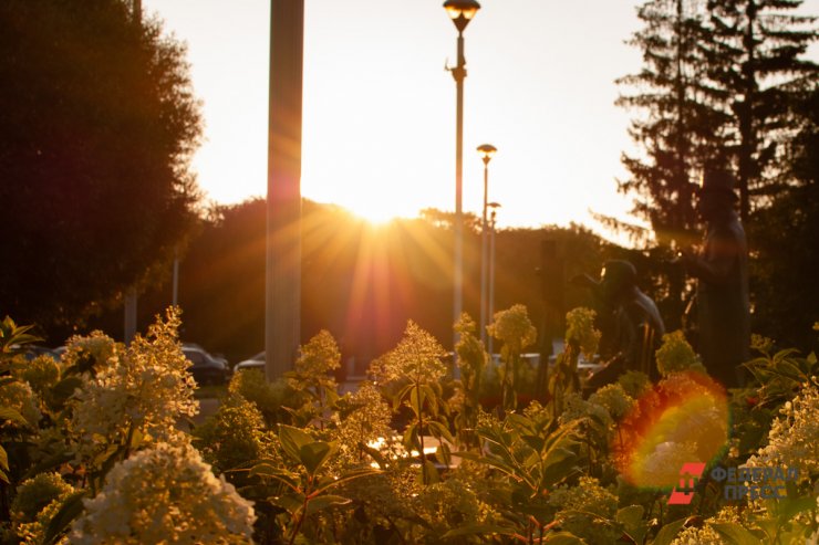 ​Парки Екатеринбурга начали обрабатывать от клещей