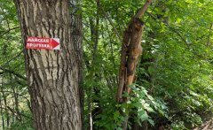 ​Как Global City в «Майской прогулке» участвовал: фоторепортаж от первого лица
