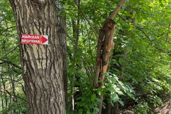 ​Как Global City в «Майской прогулке» участвовал: фоторепортаж от первого лица