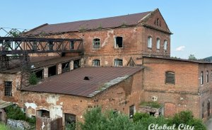 Фестиваль электронной музыки «Грибница» пройдет в Сысерти в выходные