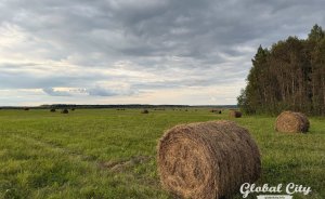 В Свердловскую область пришли заморозки