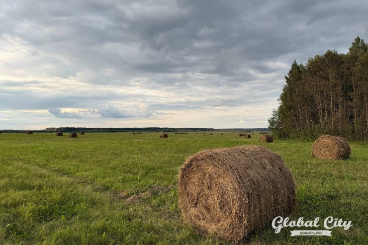 ​В Свердловскую область пришли заморозки