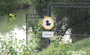 ​На набережной в Екатеринбурге появился дорожный знак с уточкой