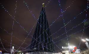 Стала известна стоимость новогодней елки в Екатеринбурге