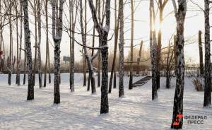 В Екатеринбурге ожидается небольшое потепление