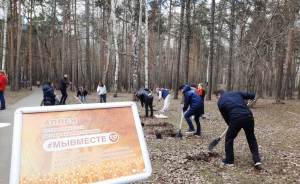 В Екатеринбурге высадили аллею в честь борьбы с коронавирусом