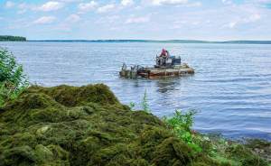 В Екатеринбурге очищают озеро Шарташ