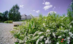 В Екатеринбурге появится Сад  Трав