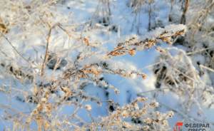 В России ожидается аномально снежная зима