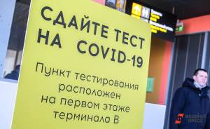 В России время изготовления ПЦР-теста сократилось вдвое
