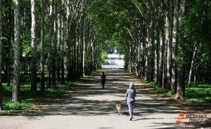 Парки и скверы Екатеринбурга обработают от клещей