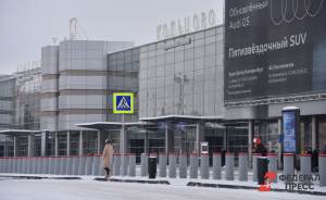 Пассажиры Екатеринбурга стали в разы реже летать за рубеж и в Москву