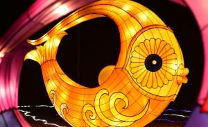 В Парке Маяковского откроется «Фестиваль волшебных фонарей»