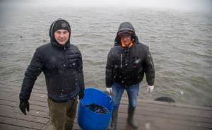 Экологи запустили в озера и реки Урала рыб-санитаров