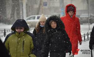 Скандинавский циклон принесет в Екатеринбург заморозки и снегопады