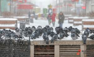 На Екатеринбург надвигаются аномальные холода и снегопады