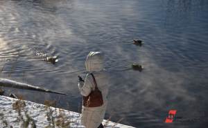 В Екатеринбурге ожидается аномальное потепление до -1