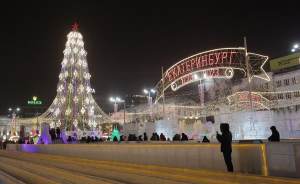 В Екатеринбурге планируют каждый год ставить живую елку