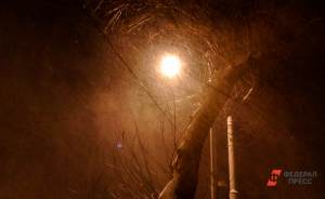 Спасатели предупредили жителей Екатеринбурга о сильном ветре