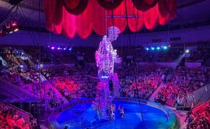 На площадке «Екатеринбург ЭКСПО» будут показывать цирковые шоу