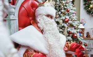 Жители России смогут дозвониться до Деда Мороза