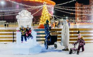 В Екатеринбурге состоится открытие катка «Арена Парк»