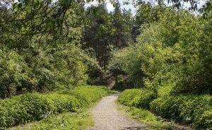 ​В Дендропарке Екатеринбурга ввели плату за фотосессии и экскурсии