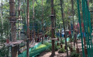 Веревочные парки Екатеринбурга: от детской трассы до экстремальной