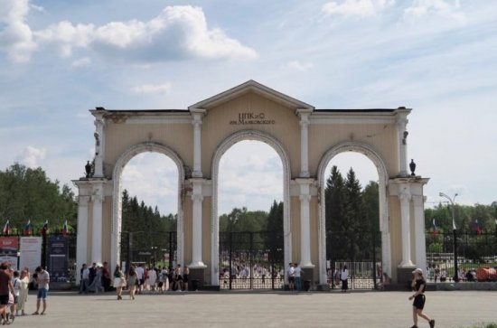 Виноград