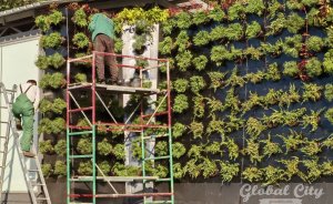 В центре Екатеринбурга появилась стена из живых цветов